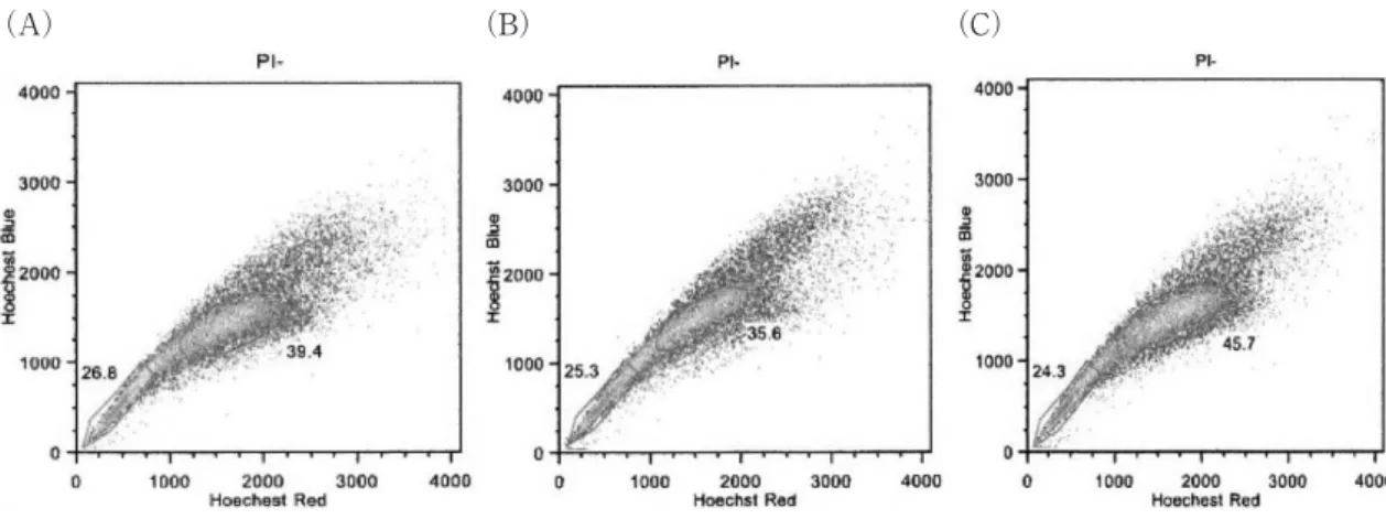 Fig.  6　Side population analysis of T98G cells