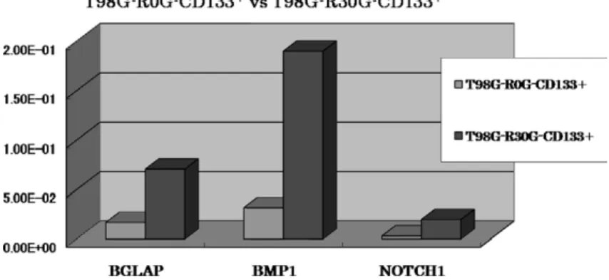 Fig.  9　Analysis of CD133 positive cells in T98G cells