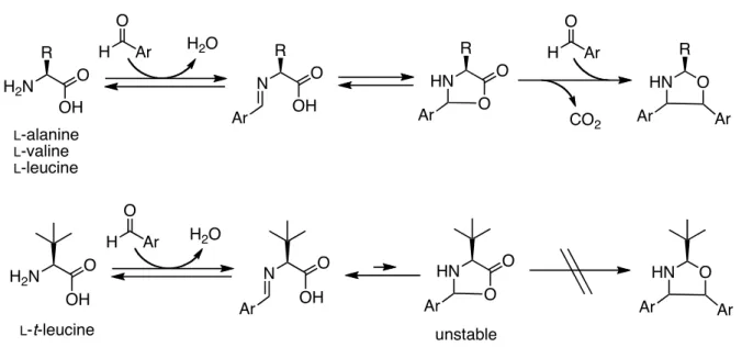 Table 6.   L -t-Leucine 46 catalyzed asymmetric aldol reaction of chloroacetone (54)