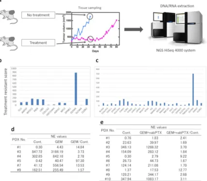 Fig 4. Identification of chemotherapy resistance molecules. (a) Schematic of the procedure for NGS analysis
