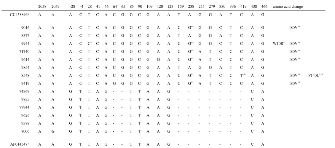 Table  Ⅳ      Sequence differences in the rrl and erm(41) genes from clinical isolates of the M
