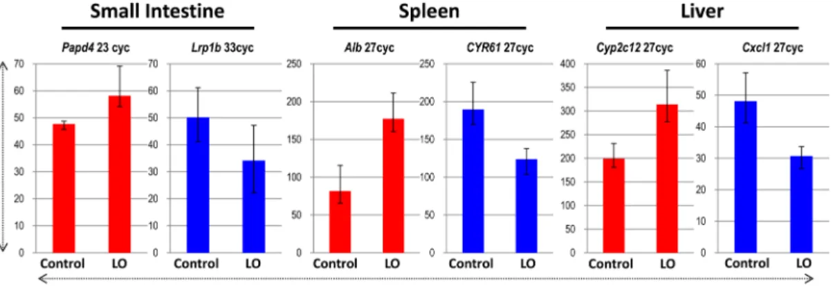 Fig 4. Validatory RT-PCR of selected differentially expressed up- and down-regulated genes in the small intestine, spleen, and liver