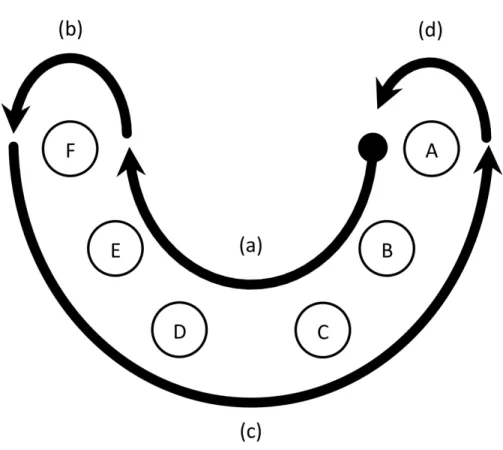Fig. 2 – Scanning sequence. 