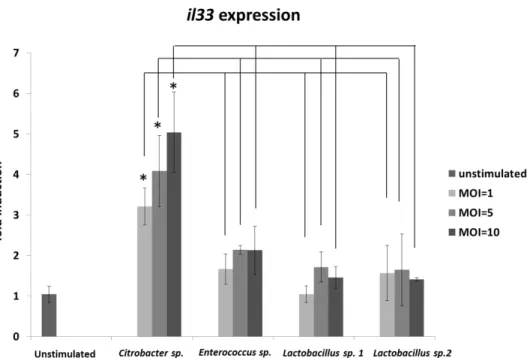 Fig. 3 In vitro interleukin-33 (il33) expression following stimulation by fecal bacteria isolated from ovalbumin  (OVA)-induced allergic mice
