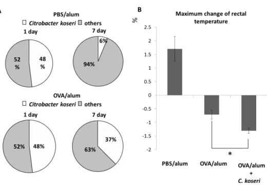 Fig. 4 Exacerbation of allergy symptoms by oral administration of Citrobacter. 