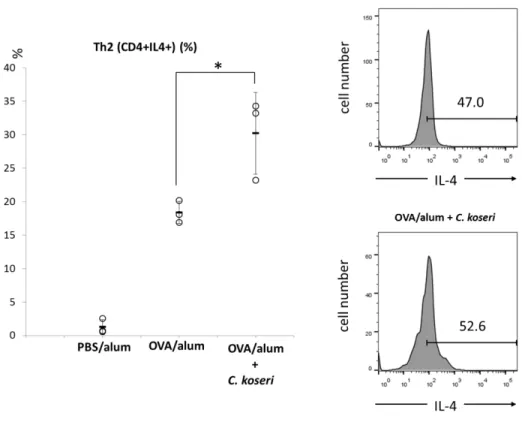 Fig. 6 Induction of Th2 cells in the small intestines of ovalbumin (OVA)/alum mice after the oral  administration of Citrobacter koseri