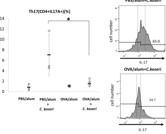 Fig. 7 Induction of Th17 cells in the small intestines of mice after the oral administration of Citrobacter  koseri