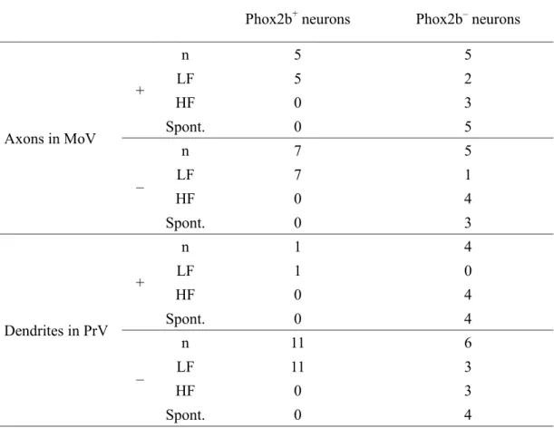 Table 3. Distribution of Phox2b +  and Phox2b –  RdV neurons based on axonal and  dendritic characteristics 