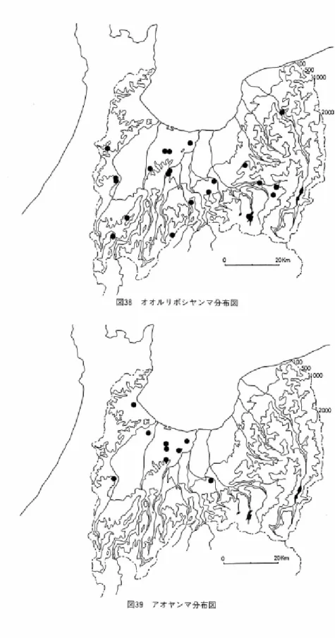 図 3 8 オ オ ル ' ノ ボ シ ヤ ン マ 分 布 図