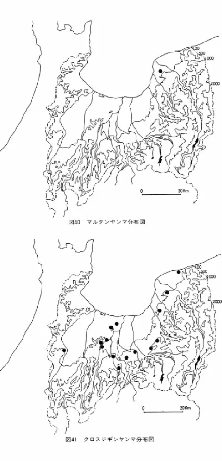 図 4 0 マ ル タ ン ヤ ン マ 分 布 図