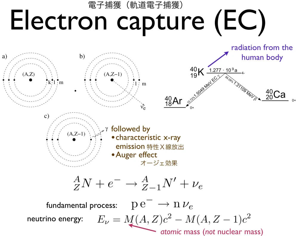 Fig. 4.15. Electron capture. After the nuclear transformation, the atom is left with an unfilled orbital, which is subsequently filled by another electron with the emission of photons (X-rays)