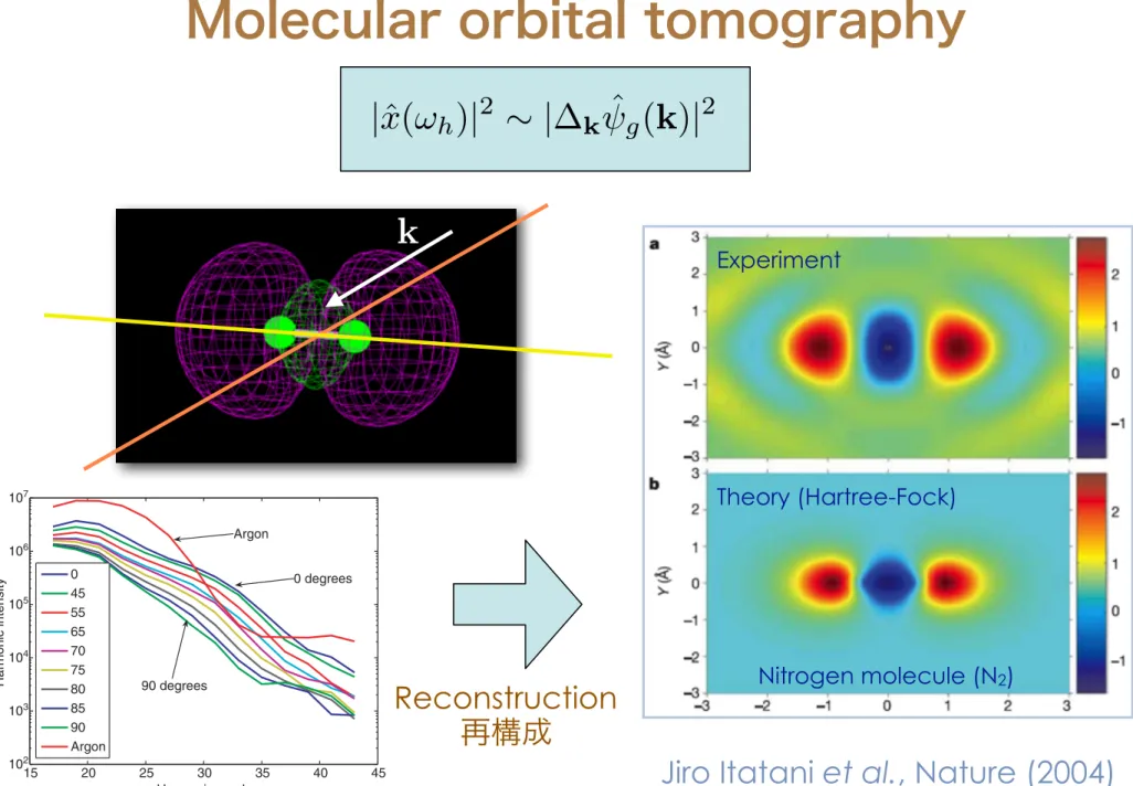 Figure 3 shows the intensities of each harmonic as the laser polarization is rotated from 0 to 90 8 (in steps of 5 8 ) with respect to the molecular axis