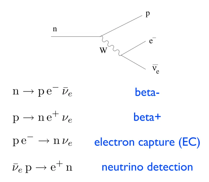 Fig. 4.8. Neutron decay.