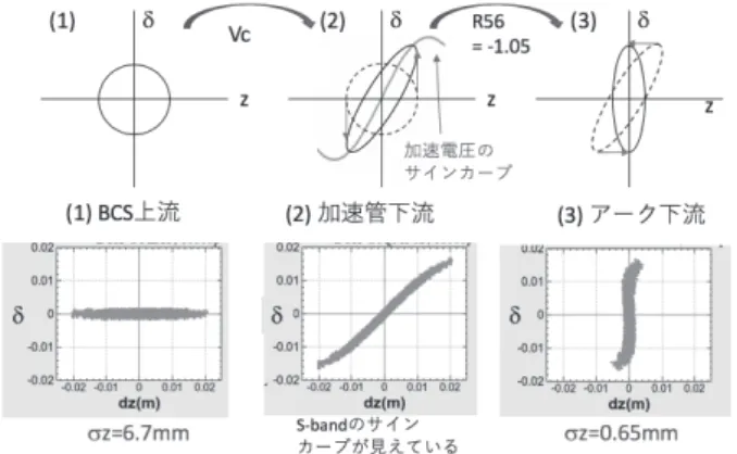 図 8: バンチ圧縮システム（Bunch Compression Sys- Sys-tem(BCS)）の原理図。進行方向位相空間に占める粒子の 広がり。上図：概念図、下図：RTL でのシミュレーショ ンによるプロット。(1) BCS 上流、(2) 加速管下流、(3) アーク下流。 式（42）と（33）を比べて、 k = ∓ 1 β 0  β 0β1 − 1 (43) R 56 = ± β 1  β 0 β 1 − 1 (44) r c ≡ cos φ =  β 1 β 0 (45) となって、確かに ECS