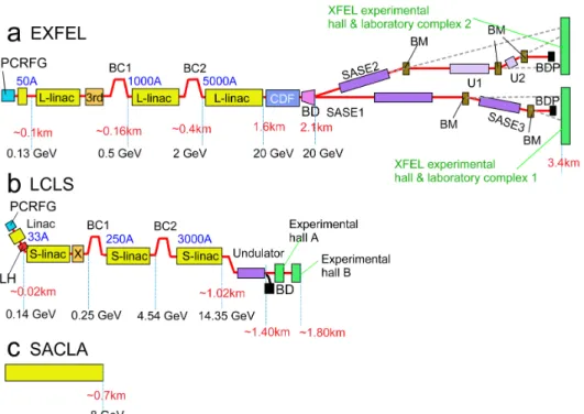Fig. 6 EXFEL と LCLS の シ ス テ ム 構 成