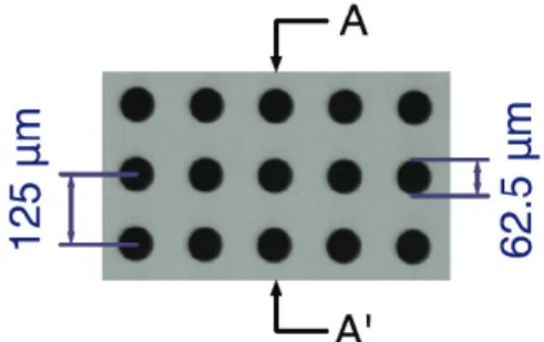 Fig. 33: Fig. 32 の A-A ’線に沿った画素強度分布