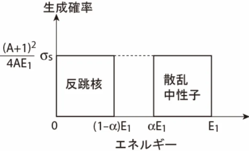 図 2.8  散乱後の中性子及び原子核の運動エネルギーの分布  (2)  非弾性散乱 中性子のエネルギーが、原子核の最も低い励起エネルギー（第１励起準位）をこえると中 性子のエネルギーは原子核の反跳以外に励起にも消費されるようになり、衝突は非弾性と なる。核の励起エネルギーはγ線（非弾性散乱γ線と呼ぶことがある）として放出され、原 子核は安定状態へもどる。非弾性散乱が起こるためには、ある大きさ以上のエネルギー、 すなわち「しきいエネルギー」が存在する。一般に核の励起準位は軽核で高く、中重核以 上の重い核では