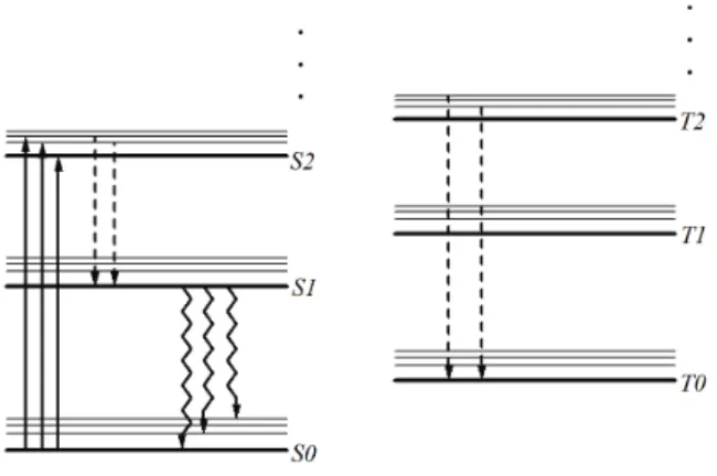 Fig. 12  パイ電子の準位構造  [b] 2 節で説明した種々の過程を介して、入射放射 線が物質に渡した電離エネルギーは電子の準位 および振動モードの励起を引き起こす。このう ち、シングレット状態の高い準位に励起された電 子は放射を伴わない内部転換によって数 ps とい う速さで S 1 状態まで遷移する。この S 1 状態から、 数 ns という速さで基底状態の振動モードのどこ かに遷移する際に発生する光子が螢光として検 出される。ここで、この放出光子は S 1 から直接 S 0 に落ちる遷移を除き