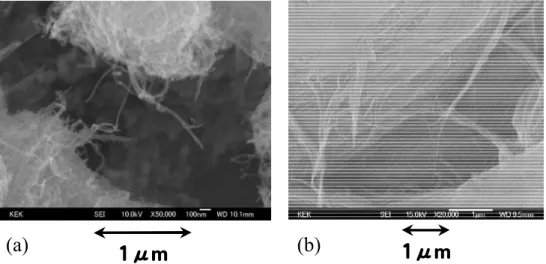 Fig. 5-1 SEM images of MWNTs (a) and SWNTs (b).