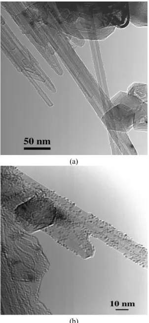Fig.  5-3 SEM image of one MWNT with RuO 2