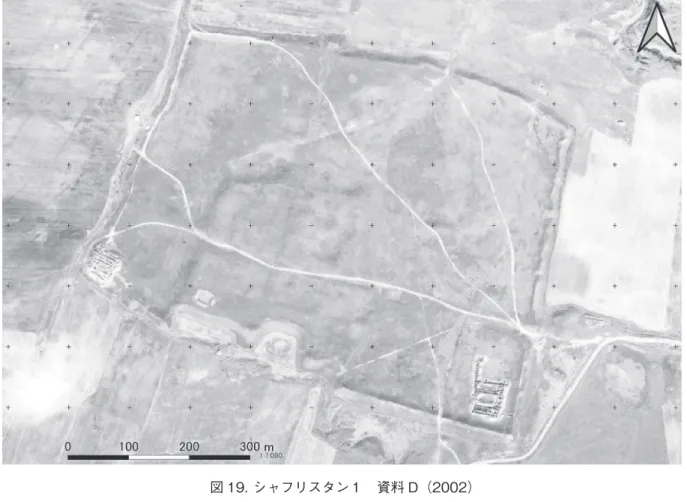 図 20. シャフリスタン１　資料 E（2019）