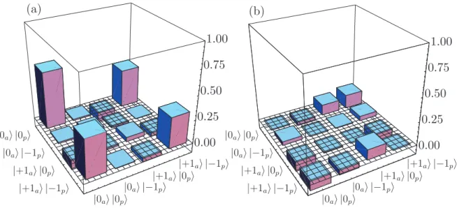 図 4.5 再構築された密度行列の実部 (a) と虚部 (b) ． (a) には 4 本の特徴的なピーク が見られ，特に非対角項の 2 つはエンタングルした状態に特有のものである．