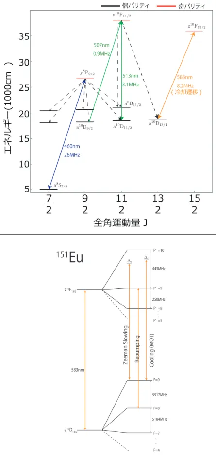 図 2.8: 磁気光学トラップに用いる光学遷移