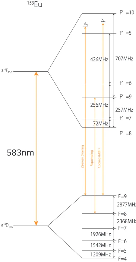 図 2.12: 153 Eu の冷却遷移の超微細構造