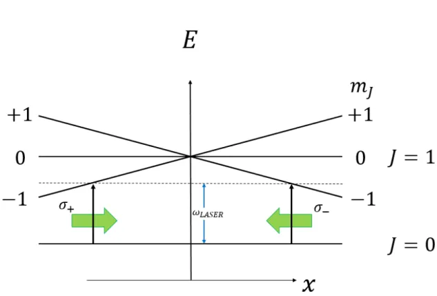図 2.4: 磁気光学トラップの簡単な模式図 2.2.3 蒸発冷却 レーザー冷却によって冷却された原子は、非共鳴光を用いて形成された光双極 子トラップで捕獲することができる。光双極子トラップとは、レーザー光によっ て誘起された電気双極子と光との相互作用によっておこるエネルギーシフトを利 用してポテンシャルをつくり、原子をトラップさせることである。ポテンシャル を U (x) とおくと、 U (x) = − 1 2 χE 0 2 (2.3) で与えられる。ここで χ は分極率である。またレーザー光強度の空間依