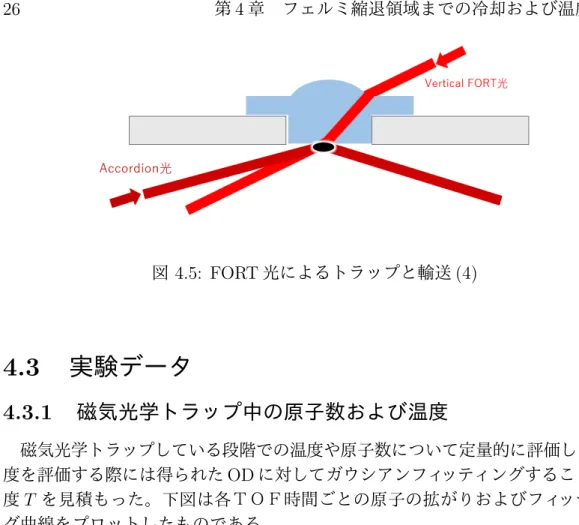 図 4.5: FORT 光によるトラップと輸送 (4) 4.3 実験データ 4.3.1 磁気光学トラップ中の原子数および温度 磁気光学トラップしている段階での温度や原子数について定量的に評価した。温 度を評価する際には得られた OD に対してガウシアンフィッティングすることで温 度 T を見積もった。下図は各ＴＯＦ時間ごとの原子の拡がりおよびフィッティン グ曲線をプロットしたものである。 図 4.6: 各 TOF 時間における原子集団の拡がりとフィッティング曲線 もとめた温度 T と原子数 N ( 全スピン