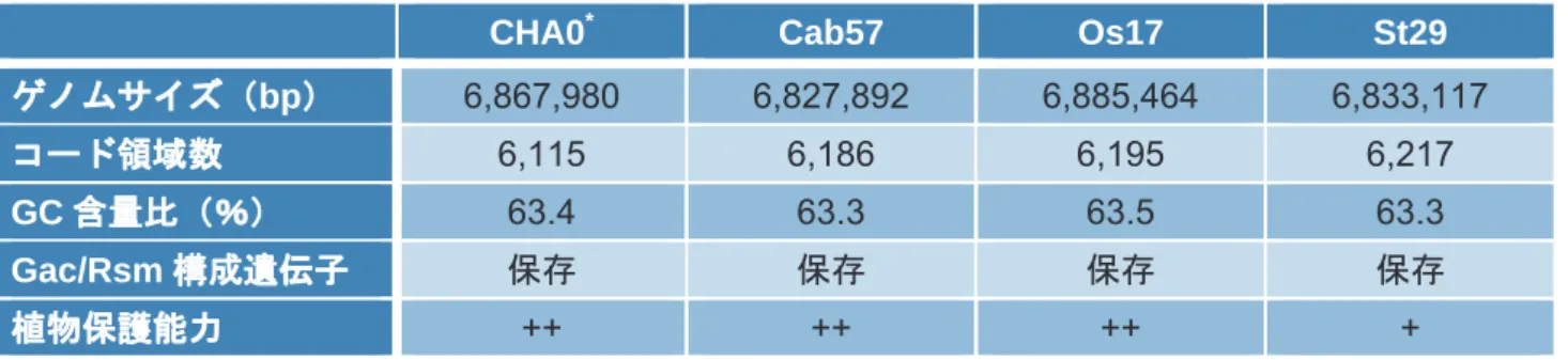 表 1　シュードモナス属細菌 CHA0 株、Cab57 株、Os17 株、St29 株のゲノム解析結果および植物保護能力の