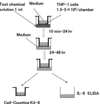 Fig. 1 Vitrigel-SST method (bottom side exposure method)