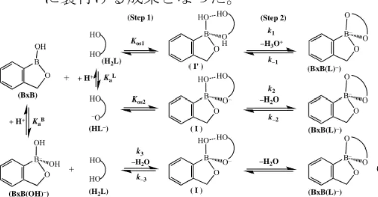 Fig. 1  Plots of log ݇ i   {i = 1 (○), 2 (□)} vs. pK a B  for the  reactions of RB(OH) 2  (○) and RB(OH) 3 −  (□) with ARS