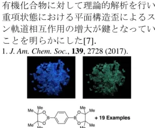 図 2.  電場誘起触媒の反応機構 