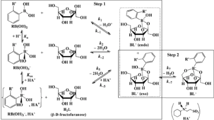 Fig.  1.  Time-dependent  absorbance  measurements  (monitored at 267 nm) for the reaction of PhB(OH) 2  with  D-fructose in aqueous solution at 25.0 ºC and I = 0.30 M