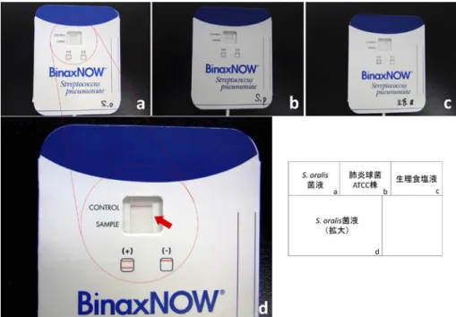 Fig. 3  The results of a BinaxNOW ®    antigen test in each sample （ ,   strain ATCC, saline solution）. （a）   solution: A pale red band is  seen （red arrow）. （b）   solution: A clear red band is seen, which is the same as  the control band. （c） Saline solut