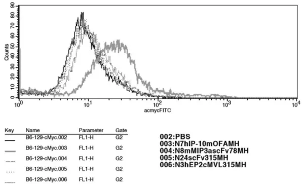 Fig. 8 Receptor-binding assay. Mouse MIP3α and murine EP2c show little difference compared to single- 8 Receptor-binding assay. Mouse MIP3α and murine EP2c show little difference compared to single-chain Fv315. Single chain is negative control.