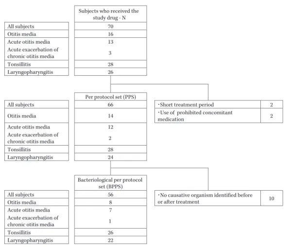 Fig. 1. Flow diagram of patient distributionSubjects who received the 