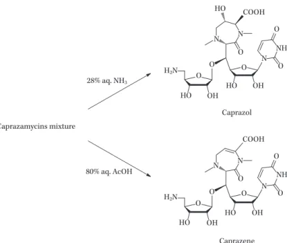 Fig. 3. Synthesis of caprazol and caprazene from a mixture of caprazamycins.