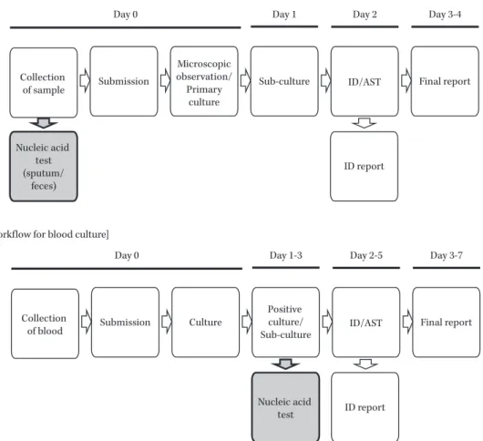 Fig. 2. Application of nucleic acid tests in a clinical microbiology laboratory ID, identification; AST, antimicrobial susceptibility testing