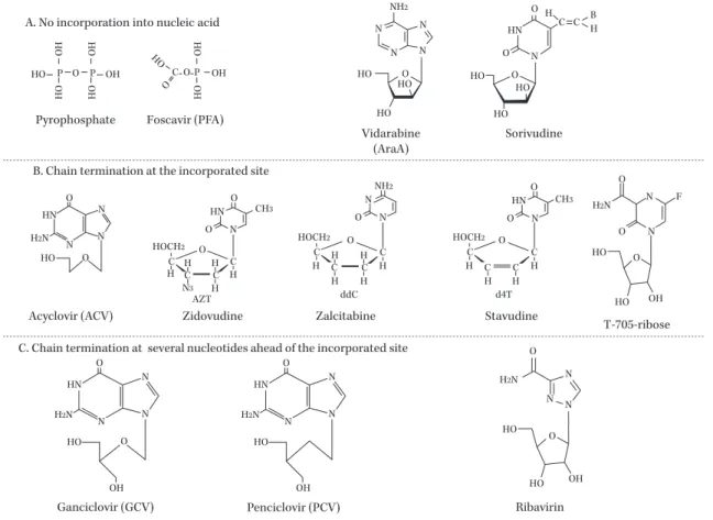 Fig. 4. Classification of nucleic acid synthesis inhibitor with the mode of inhibition.