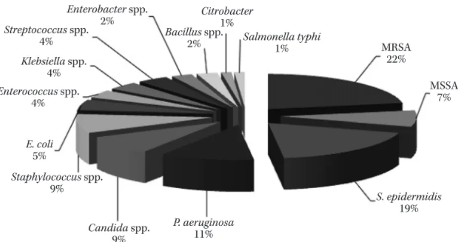 Fig. 1. Pathogenic organisms which were isolated from blood culture specimens from  October, 2006 to March, 2008 (18 months) [Tohoku University Hospital Emergency  Center] 21) .