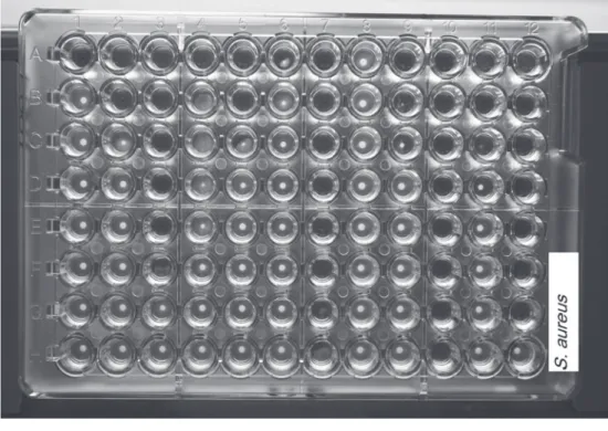 Fig. 1. Microdilution plate.