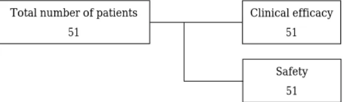 Fig. 1. Number of patients evaluated.