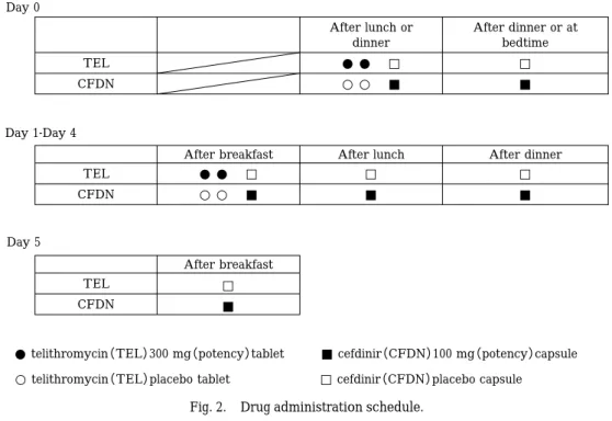 Fig. 2. Drug administration schedule.
