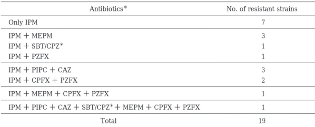Table 3.  Patterns of 19 IPM-resistant Pseudomonas aeruginosa strains（MIC of ≧ 16 μ g/mL）