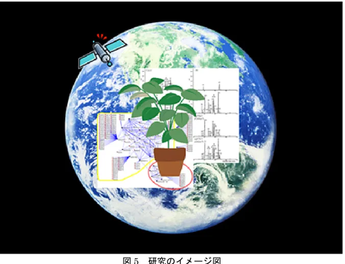 図 5 研究のイメージ図