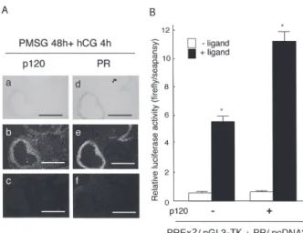 Fig. 2.  Localization  and  transcriptional  co-activator  function  of  rat  p120