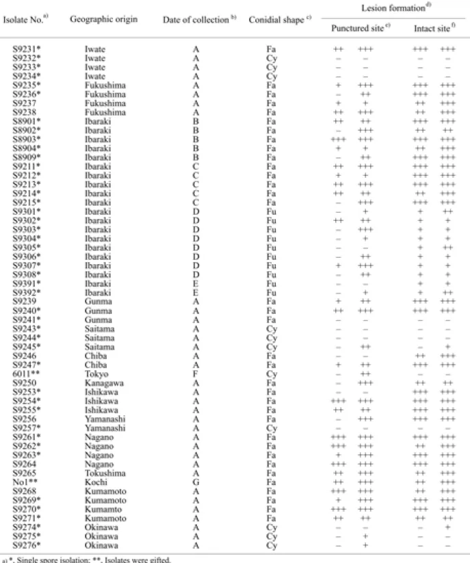 Table 1.  Anthracnose fungi isolated from diseased mulberry leaves and their pathogenicity to mulberry leaves