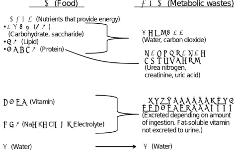 図 1.3 尿に排出される老廃物および元の食物の成分 尿酸 (Uric acid) ヒトや他の霊長類では、尿酸はプリン代謝の酸化最終生成物である。 Na 、 K 、 Cl などのミネラルは電解質 *1 であるが、これらはその結合の形を変えることはあっても、そ れぞれ摂取した量に応じて排泄される。 まとめると、食べ物として摂取した栄養素の代謝産物・老廃物として体外に排出されるべき物質は主 に二酸化炭素、水、尿素窒素を中心とする窒素代謝産物と電解質である。 1.1.3 慢性腎臓病を防ぐには
